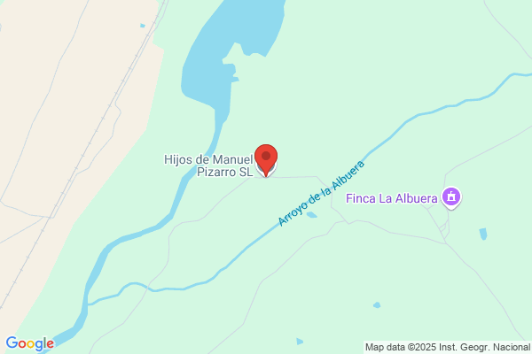 Hijos De Manuel Pizarro S.L.
