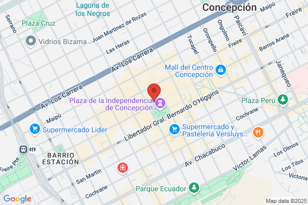 Fundacion Formacion Y Empleo