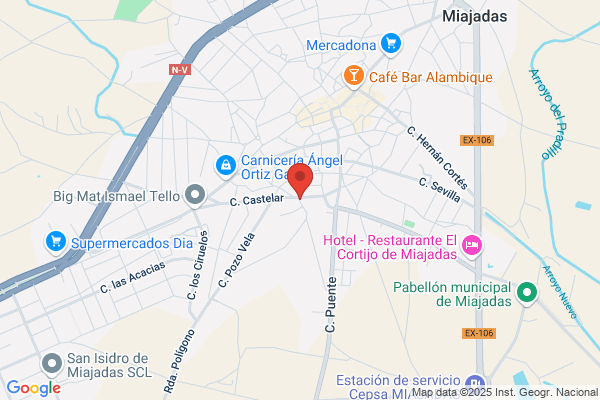 Veterinario Clinica Domicilio