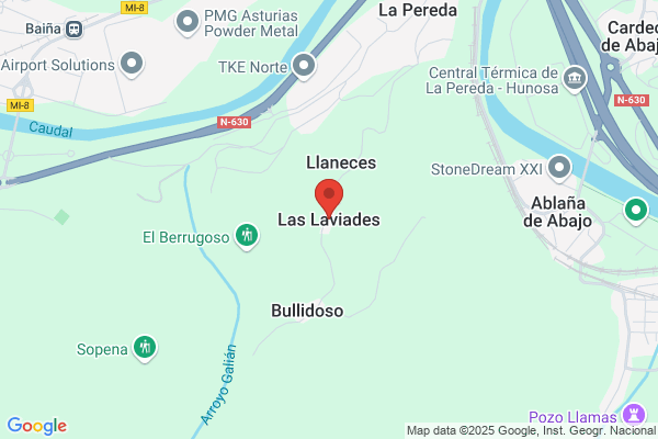 Laviades Alvarez r.