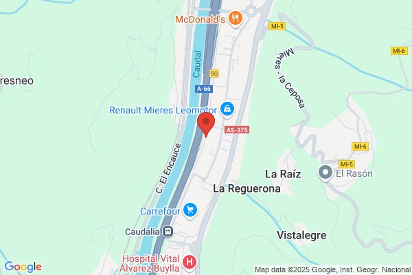 Recicauto Desguaces Mieres