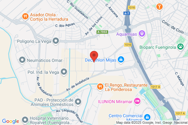 Alkon Invest Malaga S.L.