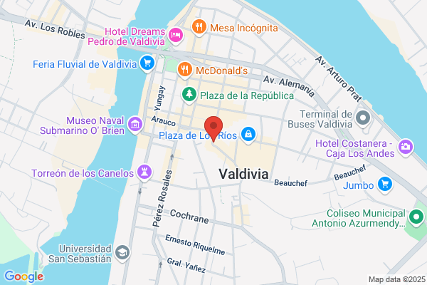 Cuevas Valdivia j. A.