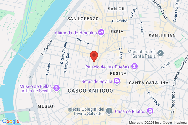 Alonso Alarcon s.