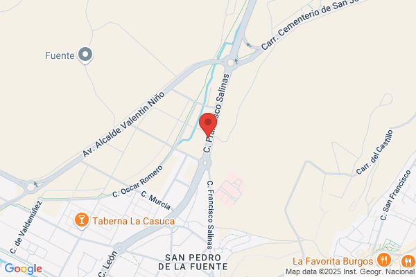 Hostal Y Cafeteria Burgales
