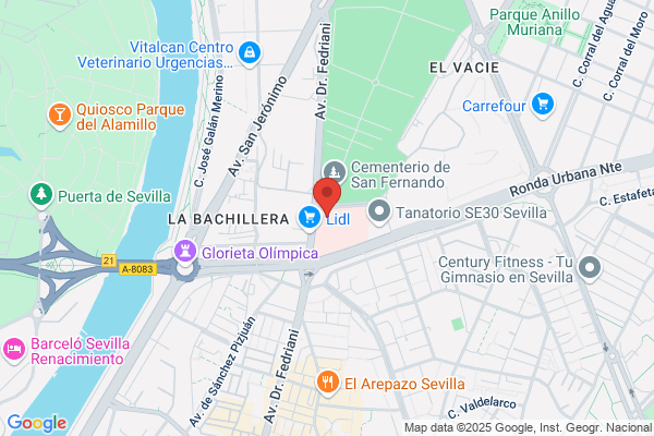 Ferrovial Sericios S.A.