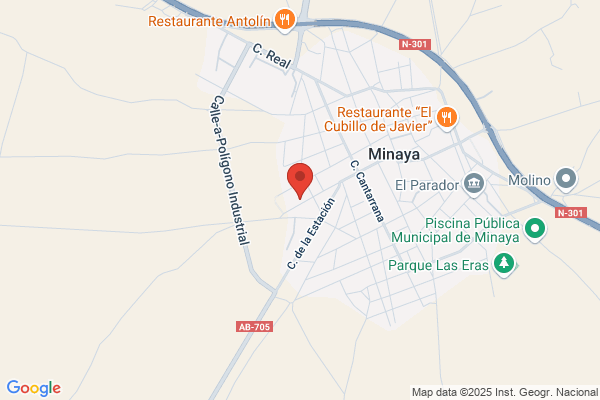 Apinsa La Mancha S.A. - Pdctos. Qui.