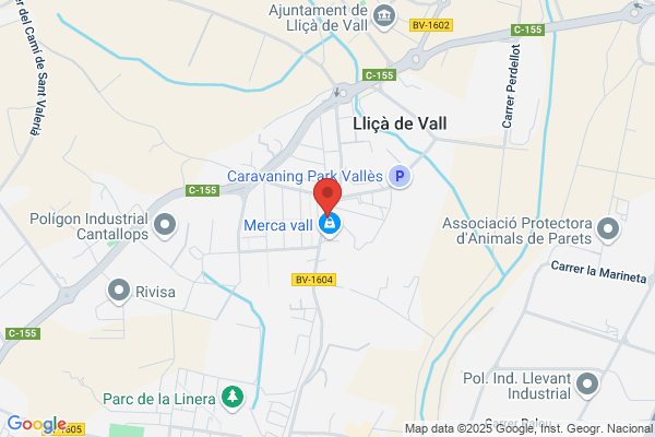 Bar Tolin
