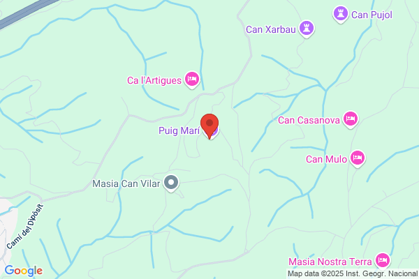 Puig Puigmarti j.