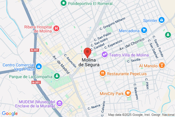 Servicio Tecnico S.L.