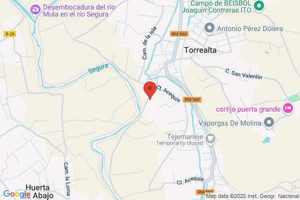 Maderas Y Palets Del Sureste S.L.