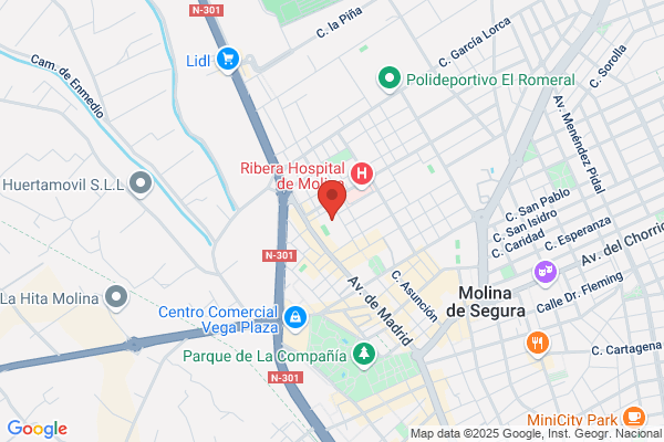 La Cigüeña de Molina