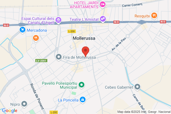 Monfa Escola r.