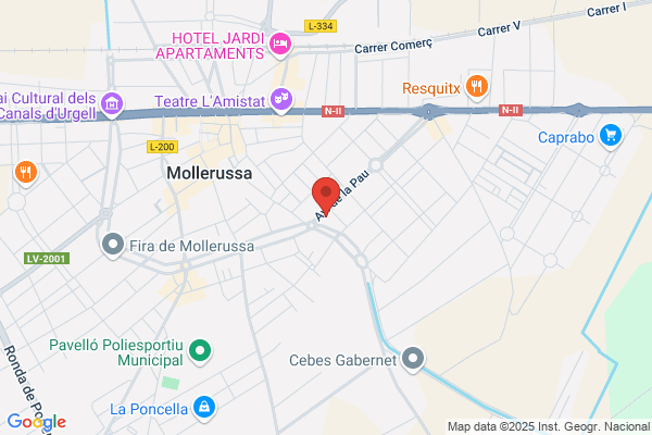 Fuerzas Electricas De Catalunya S.A.