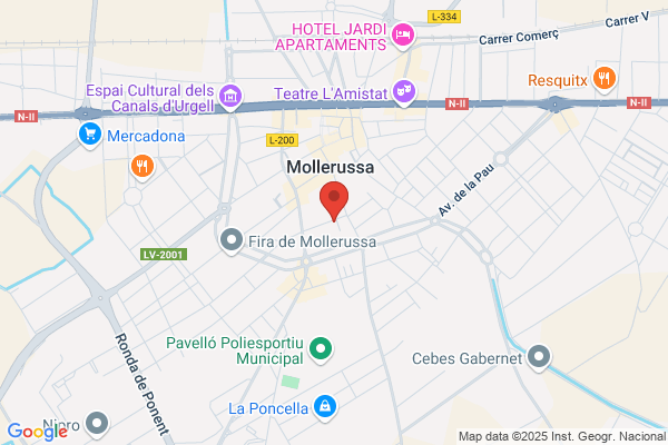 Academia Viñes S.L.