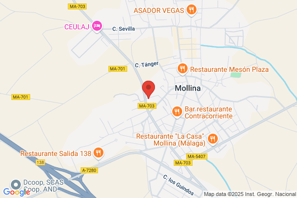 Talleres Autos-Mollina S.L.