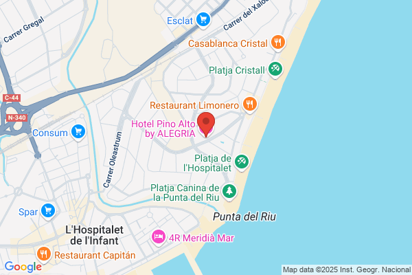 Hotel Pino Alto