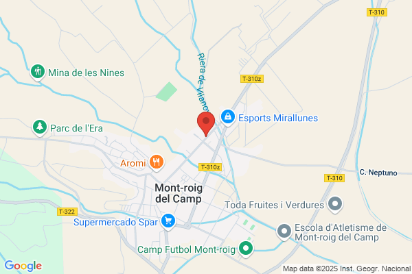 Taller Diesel Mont-Roig