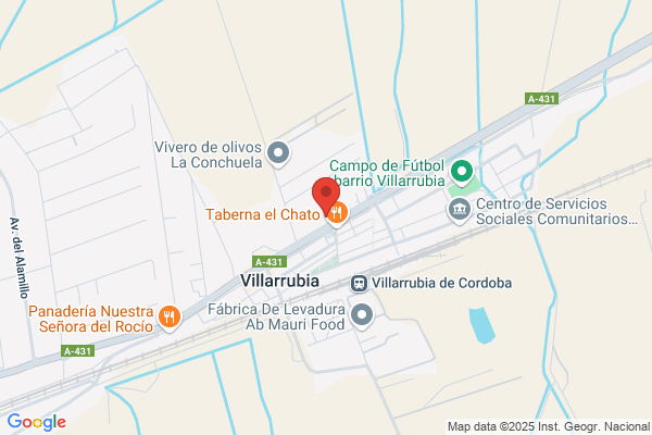 Alcaide Campos j.