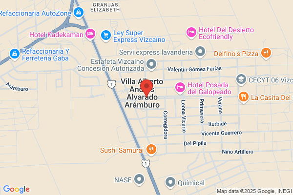 Alvarado Arias j.