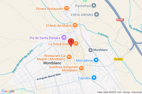 Tocineria Y Carniceria Cal Figueras