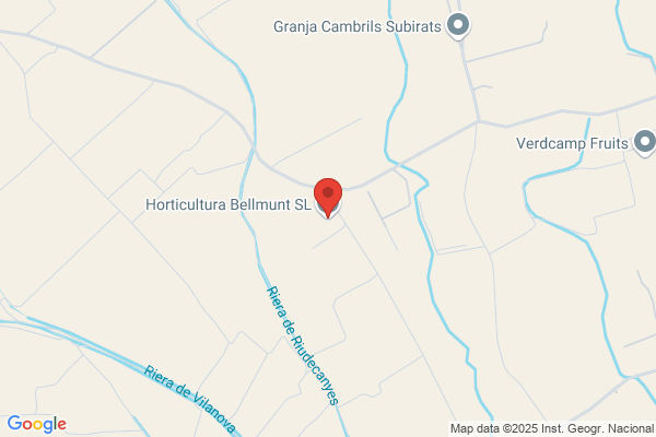 Horticultura Bellmunt S.L.