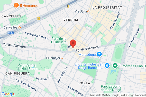 Reformas Alejandro