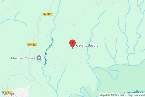 Besora Anglerill j.