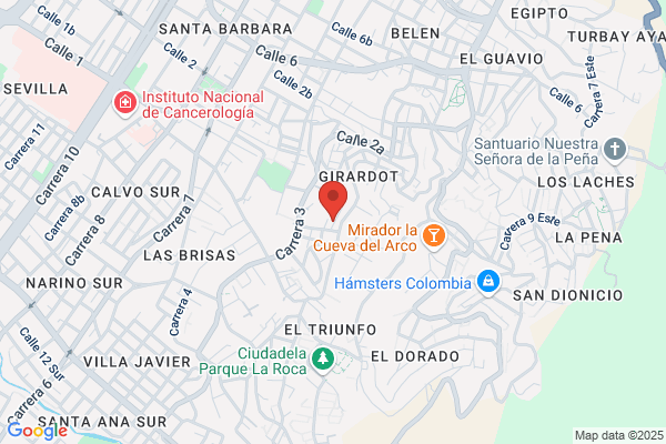 Ramirez Barrio m. A.
