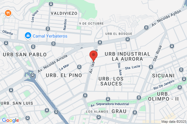 Repuestos Avenida S. A.