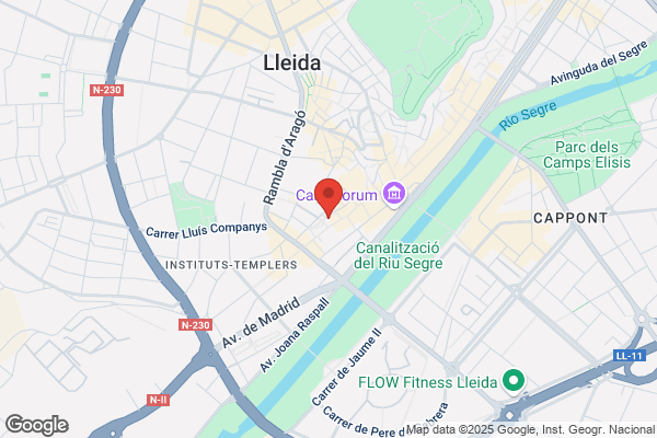 Associacio Protectora De Minusvalids Psiquics De Lleida