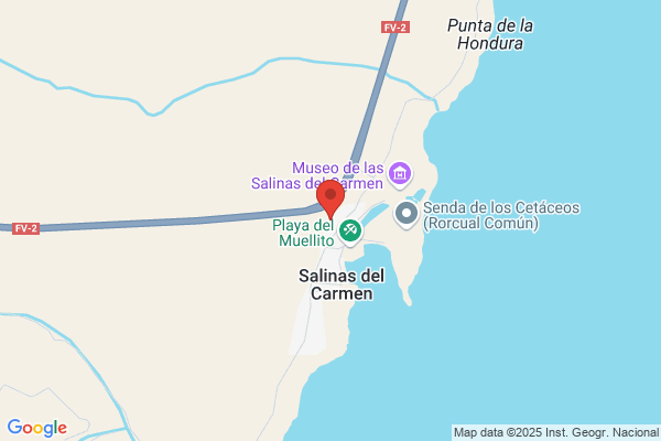 Salinas Olivar i.