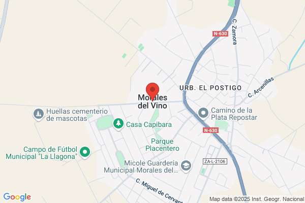 Maxitoldo