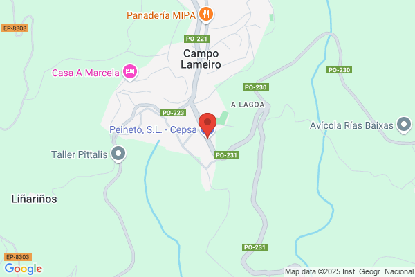 Peineto