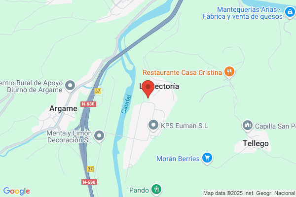 Banco De Asturias S. A.