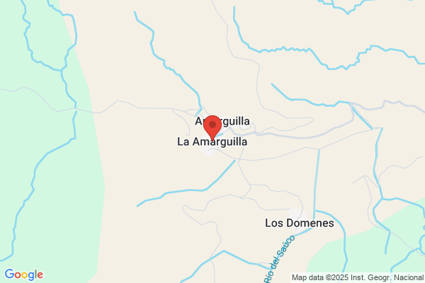 La Amarguilla S. A.