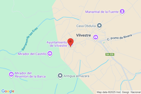 Ayuntamiento De Vilvestre