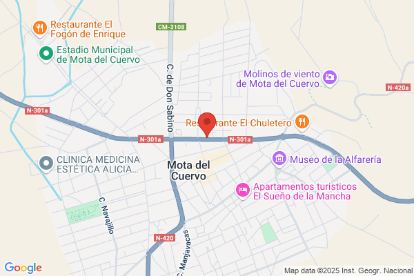 Estacion De Servicio El Meson S.L.