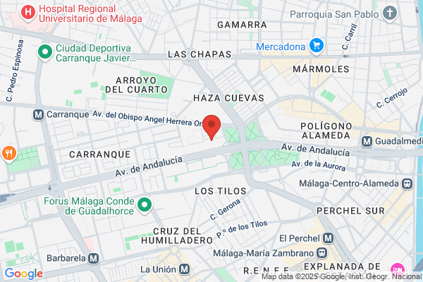 Grupo Asinen Consultoria Integral De Empresas S.L.