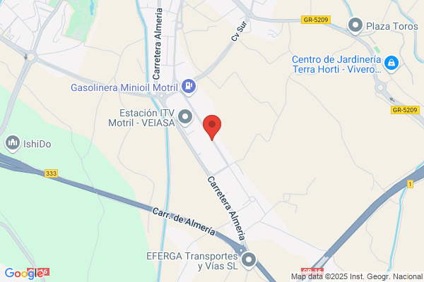 Limpia Tapicerias Y Tapizados Motril