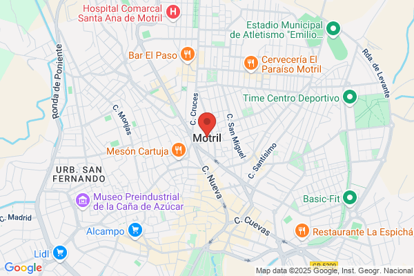 Ruiz Alaminos j. M.