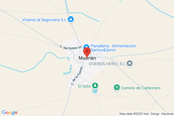 Bar Moises