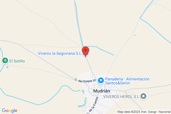 La Segoviana - Viveros De Fresa