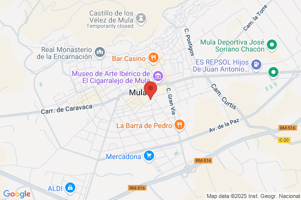 Asesoria Teknos - Auditor Fiscal