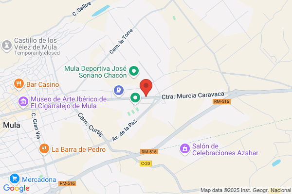 Piñero Gallego t.