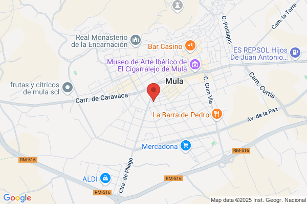 Blaya Huescar j. A.