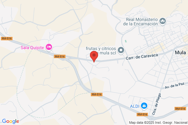Talleres Sanchez De Mulas S. L. - Servicio peugeot talbot