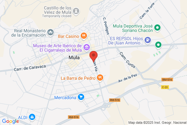 Instituto De Bachillerato Ortega Y Rubio