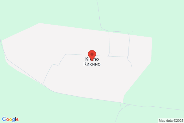 Kikino S.L.
