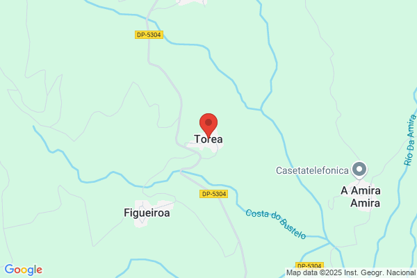 Torea Veloso d.